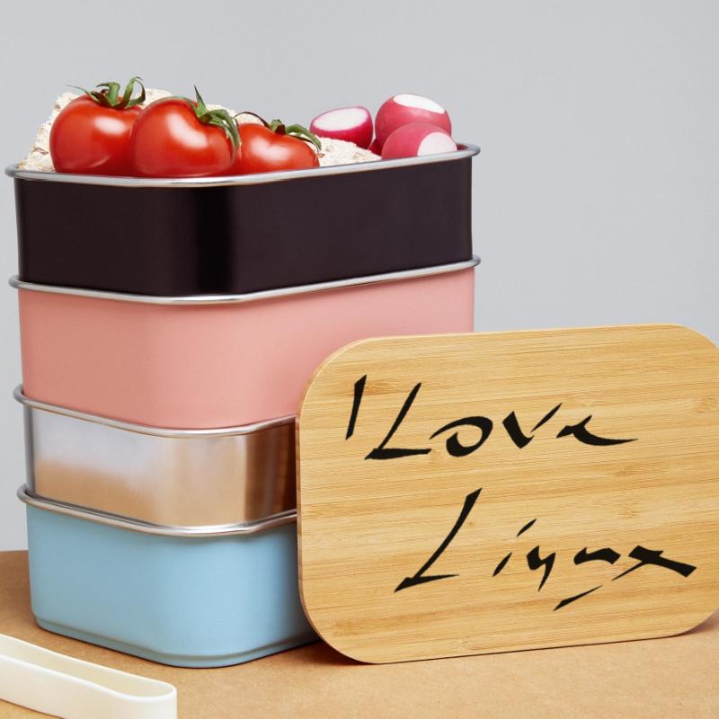 Linux, Software, programmieren Lunch Box