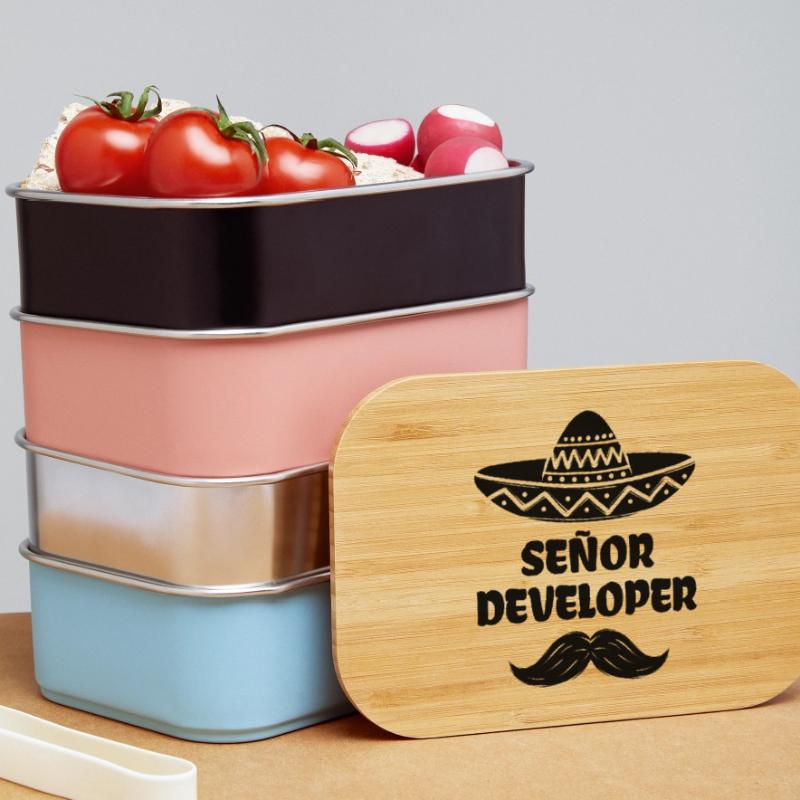 Developer Statement Skripting Dev Computerfreak Lunch Box