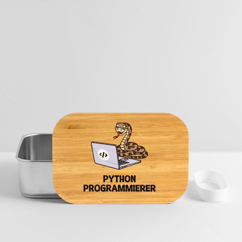 Déclaration du développeur de code informatique du programmeur Boîte à goûter