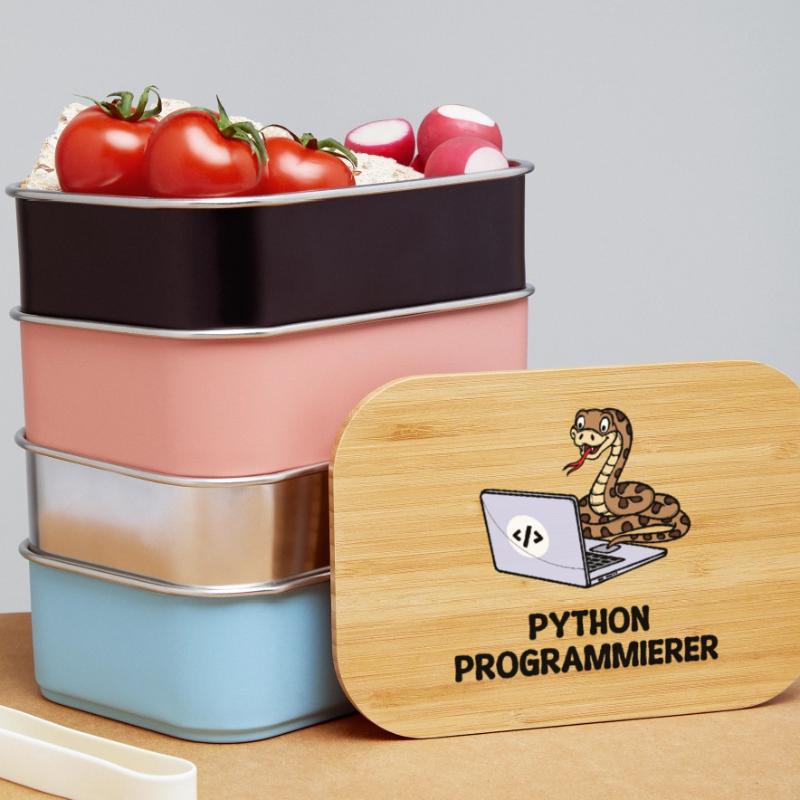 Déclaration du développeur de code informatique du programmeur Boîte à goûter