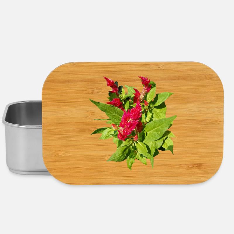 ROTE CELOSIEN - Lunch Box - Silber