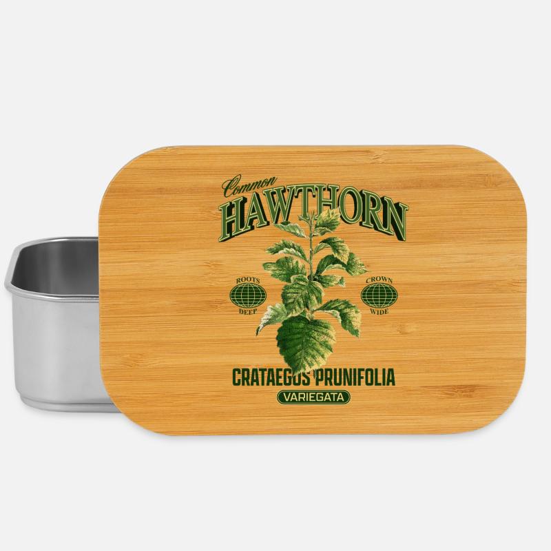 Common Hawthorn Botanical Art - Lunch Box - Silber