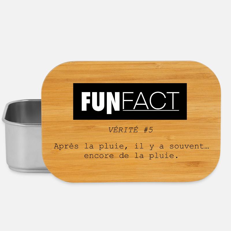 Funfact_-5 - Boîte à goûter - argent