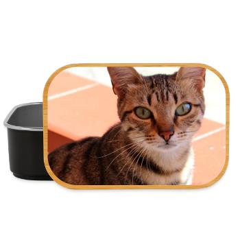 Katze Kätzchen Poster quadratisch Katzenposter - Lunch Box - Schwarz - Vorne