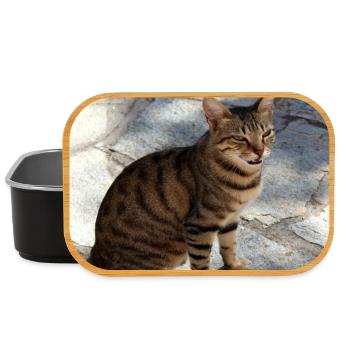 Katze Kätzchen Poster quadratisch Katzenposter - Lunch Box - Schwarz - Vorne