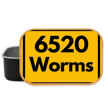 ALTE POSTLEITZAHL PLZ RETRO 6520 WORMS - Lunch Box - Schwarz - Vorne
