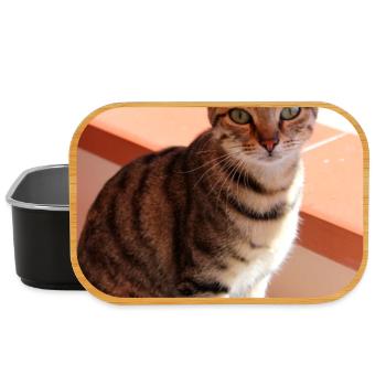 Katze Kätzchen - Lunch Box - Schwarz - Vorne