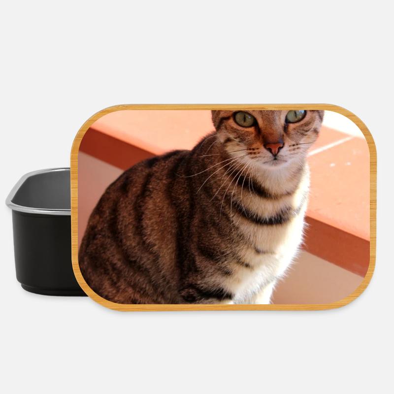 Katze Kätzchen - Lunch Box - Schwarz