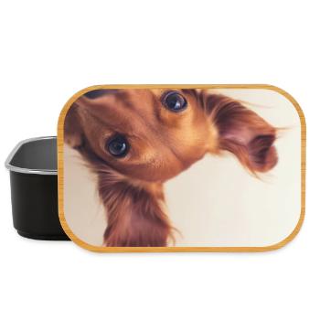 Portrait curieux du chiot - Boîte à goûter - noir - Devant