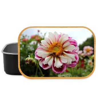Abeille, Miel Scène Sur Fleur Colorée, Dahlia - Boîte à goûter - noir - Devant