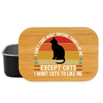 I Don't Care Except Cats Funny Cat Lover - Lunch Box - black - Front