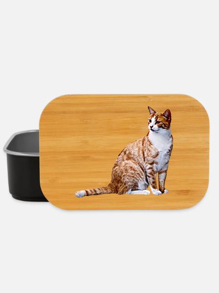 Katze Katzen Katze Cat Cats - Lunch Box - Schwarz