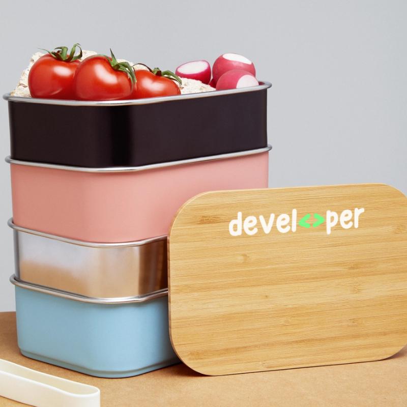 Developer Code Skripting Debug Informatik Geek Lunch Box