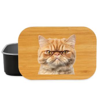 Grumpy Ginger Cat Studio Portrait - Lunch Box - black - Front