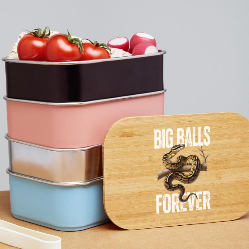 King Python Snakes Lover Terrarium Python Lunch Box