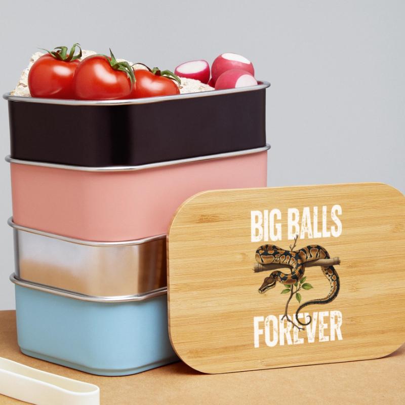 King Python Snakes Lover Terrarium Python Lunch Box