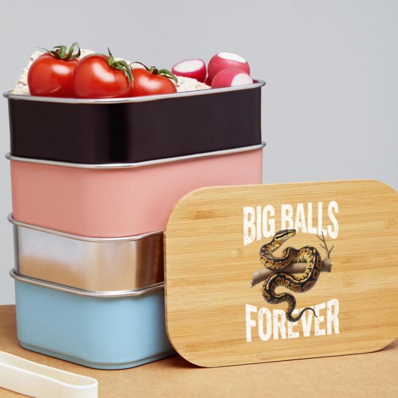 Königspython Schlangen Liebhaber Terrarium Python Lunch Box