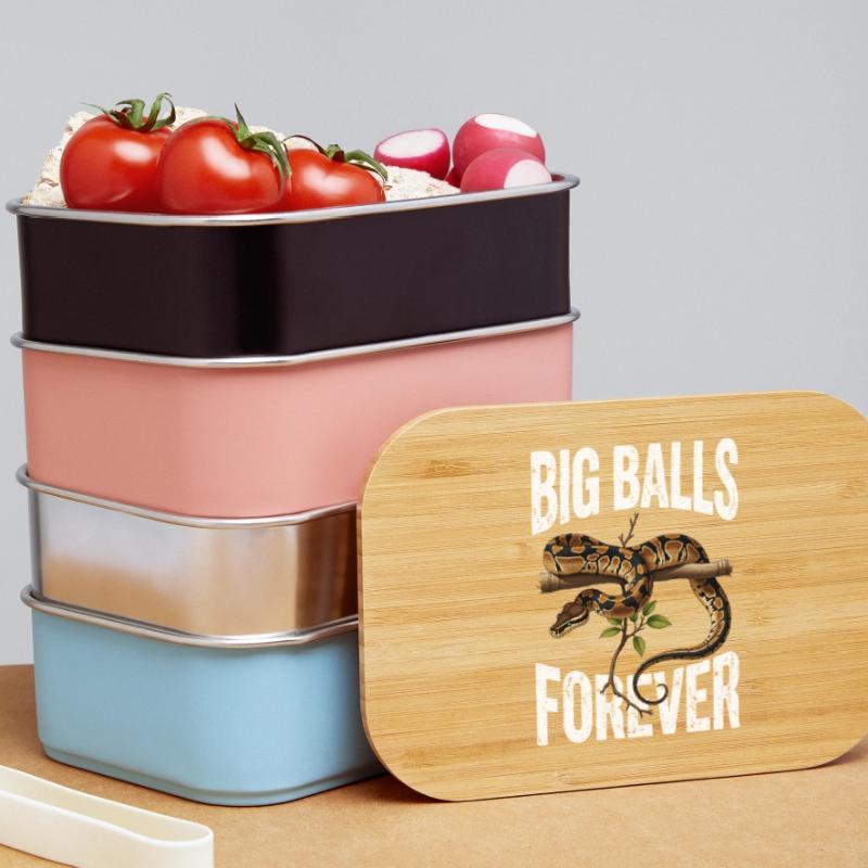 King Python Snakes Lover Terrarium Python Lunch Box