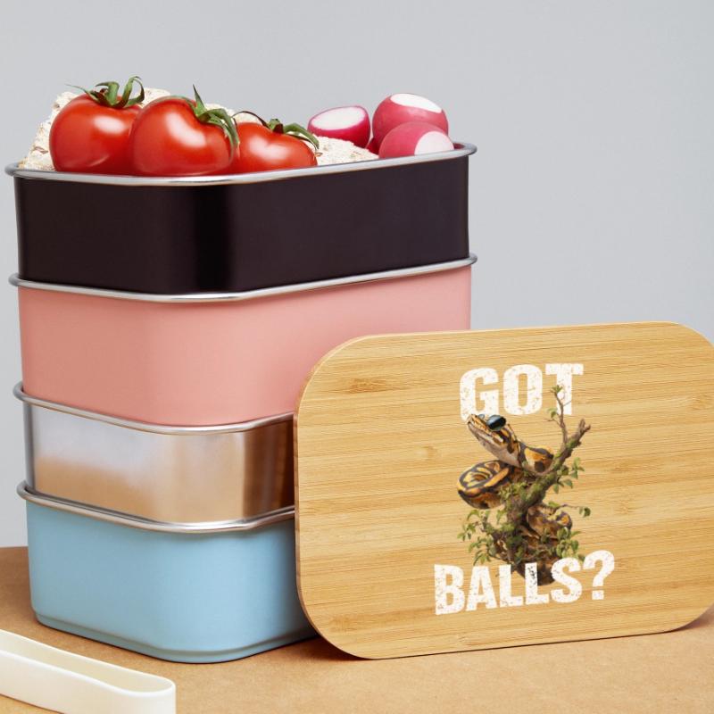 Königspython Schlangen Liebhaber Terrarium Python Lunch Box