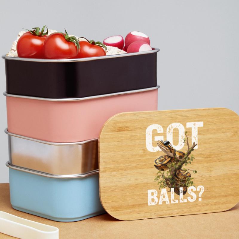 Königspython Schlangen Liebhaber Terrarium Python Lunch Box