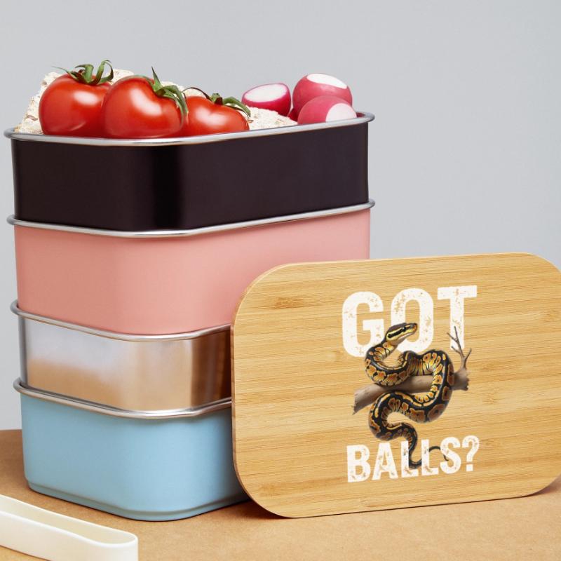 Königspython Schlangen Liebhaber Terrarium Python Lunch Box