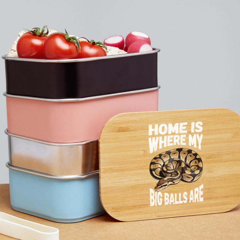 Königspython Schlangen Liebhaber Terrarium Python Lunch Box