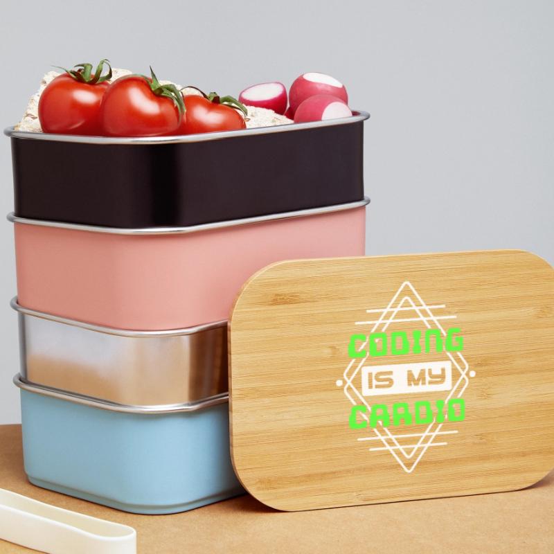 Developer Statement Code Skripting Webentwickler Lunch Box