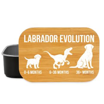 Labrador-Evolution – Labradorwelpe Labrador-Mama Labrador Labrador Papa - Lunch Box - Schwarz - Vorne