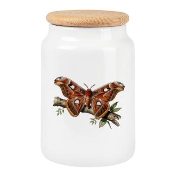 Attacus-Motte - Keksdose mit Holzdeckel - Weiß - Vorne