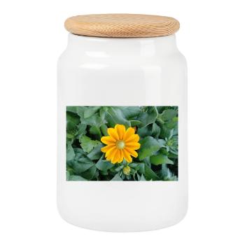Yellow ray bloom - Cookie Jar with Wooden Lid - white - Front