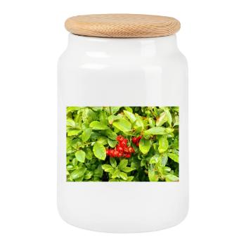 Mittelmeer Feuerdorn / Pyracantha coccinea - Keksdose mit Holzdeckel - Weiß - Vorne