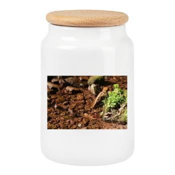 Kleiner Waldbach am Stein - Keksdose mit Holzdeckel - Weiß - Vorne