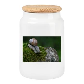 Snail on moss rock - Cookie Jar with Wooden Lid - white - Front