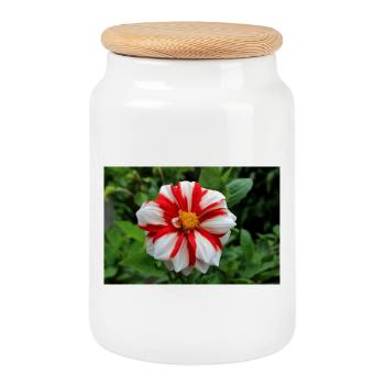 Dahlie weiß rot Blüte ,Blume - Keksdose mit Holzdeckel - Weiß - Vorne