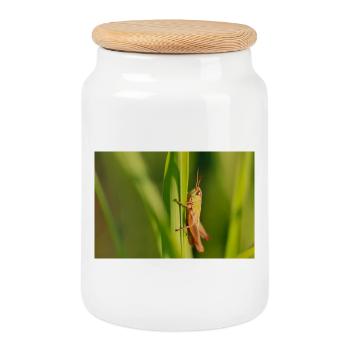 Cute grasshopper illustration on green - Cookie Jar with Wooden Lid - white - Front