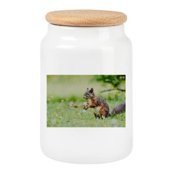 Squirrel Mosaic in the grass field - Cookie Jar with Wooden Lid - white - Front