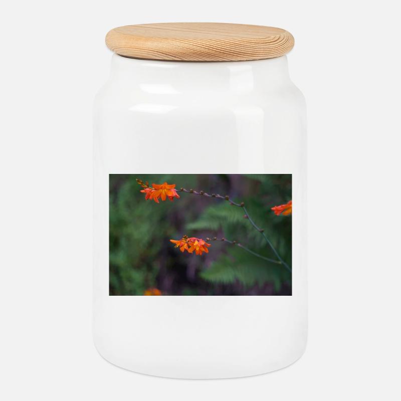 Orange Bloom on Arching Stem - Cookie Jar with Wooden Lid - white