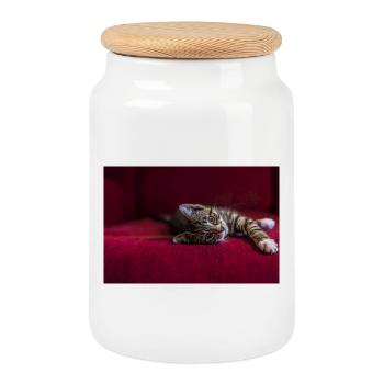 Mignon bébé chat tigré, mentir, photographie - Boîte à biscuits avec couvercle en bois - blanc - Devant