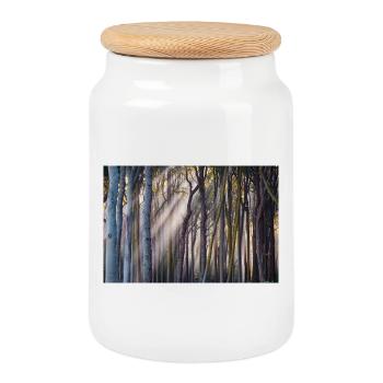 Rayons de lumière dans la forêt - Boîte à biscuits avec couvercle en bois - blanc - Devant