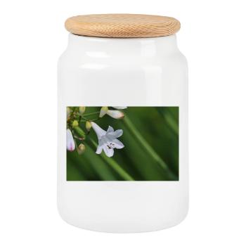 Macro de la fleur de lys blanc - Boîte à biscuits avec couvercle en bois - blanc - Devant