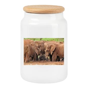 Troupeau d’éléphants se baignant dans le point d’eau - Boîte à biscuits avec couvercle en bois - blanc - Devant
