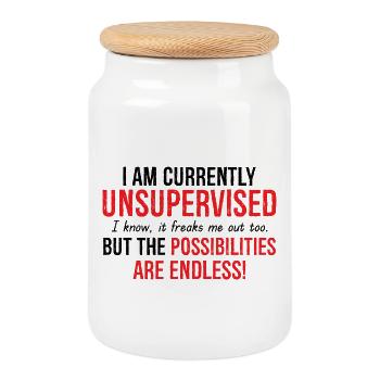 I Am Currently Unsupervised Possibilities Endless - Cookie Jar with Wooden Lid - white - Front