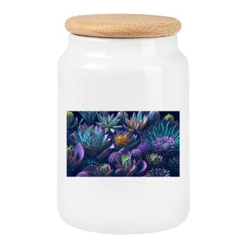 Succulent cadeau Echeveria - Boîte à biscuits avec couvercle en bois - blanc - Devant