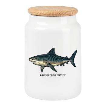 Dessin de requin tigre Galeocerdo cuvier - Boîte à biscuits avec couvercle en bois - blanc - Devant