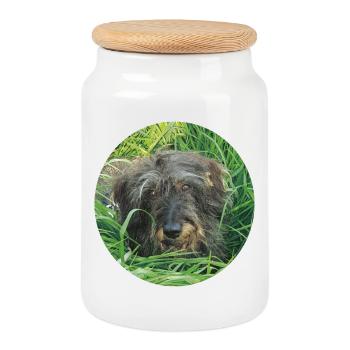 Cute wire-haired dachshund lifelike - dachshund - Cookie Jar with Wooden Lid - white - Front