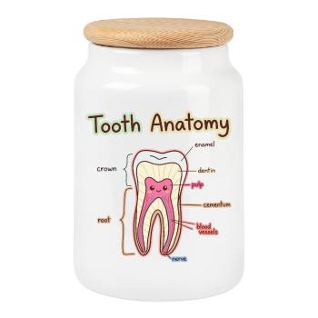 Tooth Anatomy Dental Assistant Dentist - Cookie Jar with Wooden Lid - white - Front