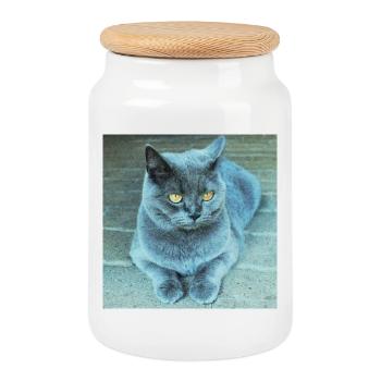 Gray Blue Cat with Golden Eyes - Cookie Jar with Wooden Lid - white - Front