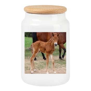 Affiche Cheval Cheval - Boîte à biscuits avec couvercle en bois - blanc - Devant