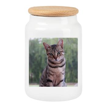 Cat Kitten Poster Square Cat Poster - Cookie Jar with Wooden Lid - white - Front
