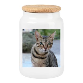 Cat Kitten Poster Square Cat Poster - Cookie Jar with Wooden Lid - white - Front